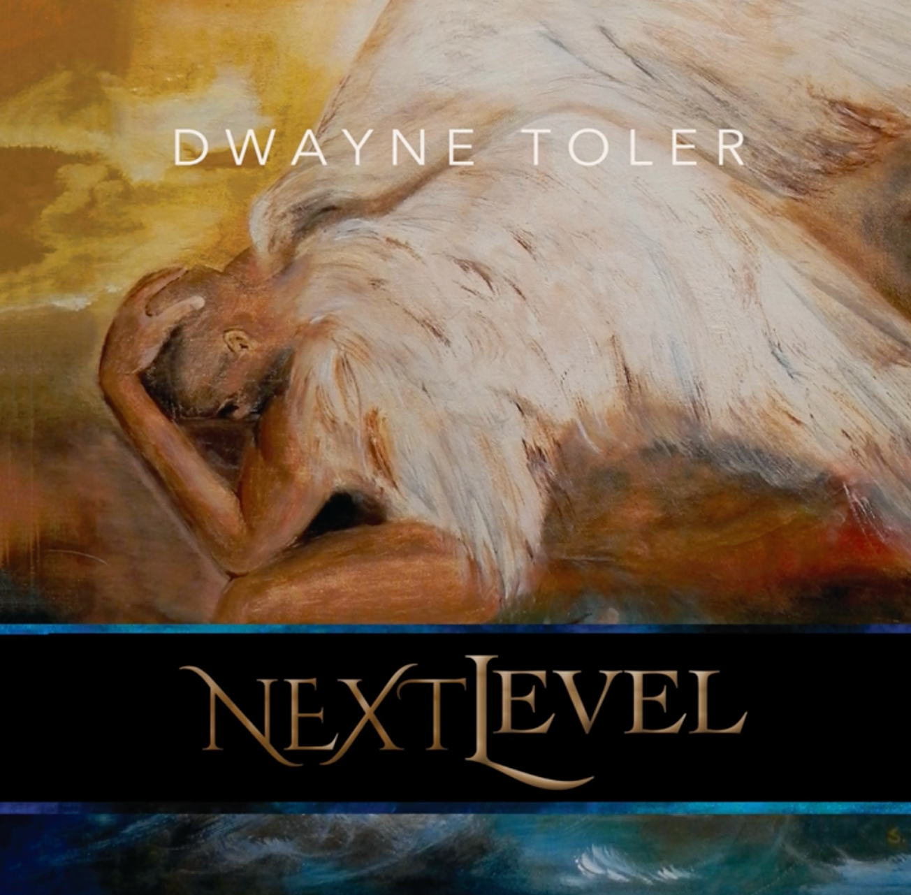 Next Level by Dwayne Toler CD cover