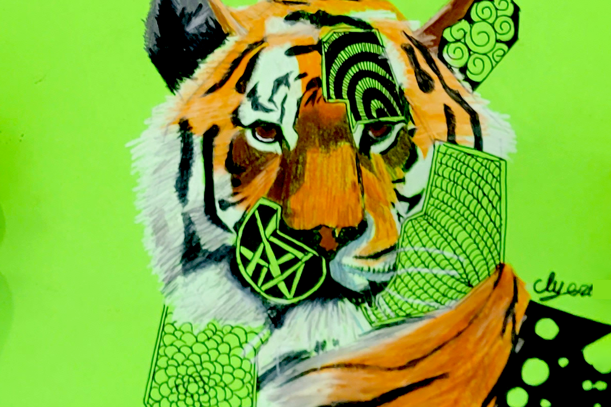 tiger realistic and abstract combined drawing